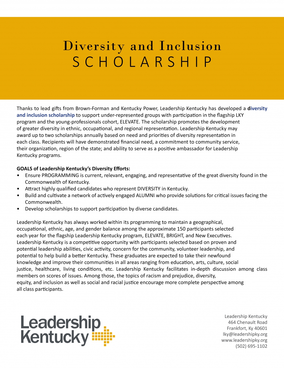 Diversity and Inclusion Scholarship